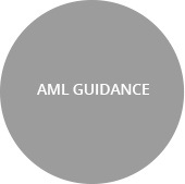 AML guidance